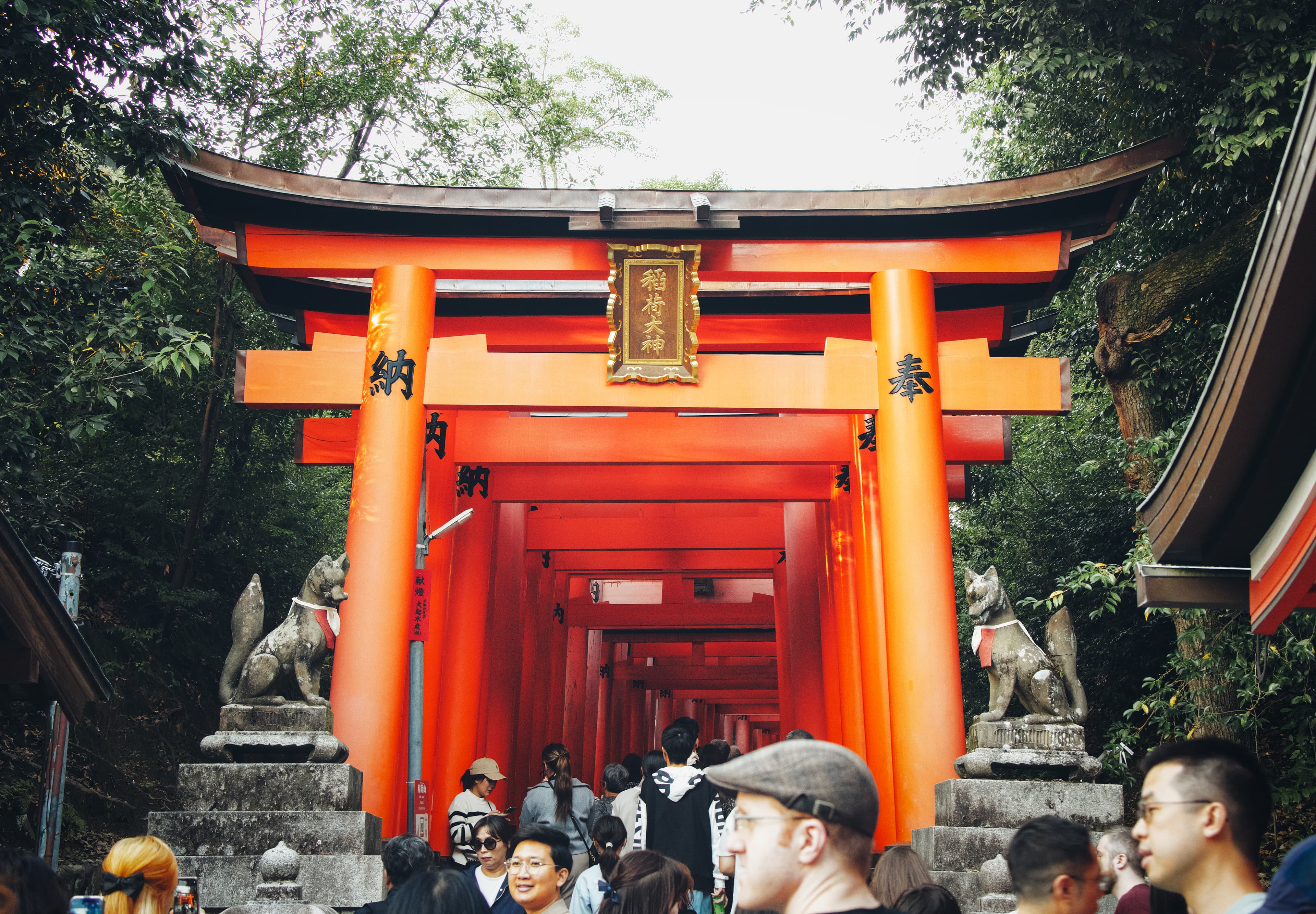 Fushimi Inari Taisha Sembon Torii
