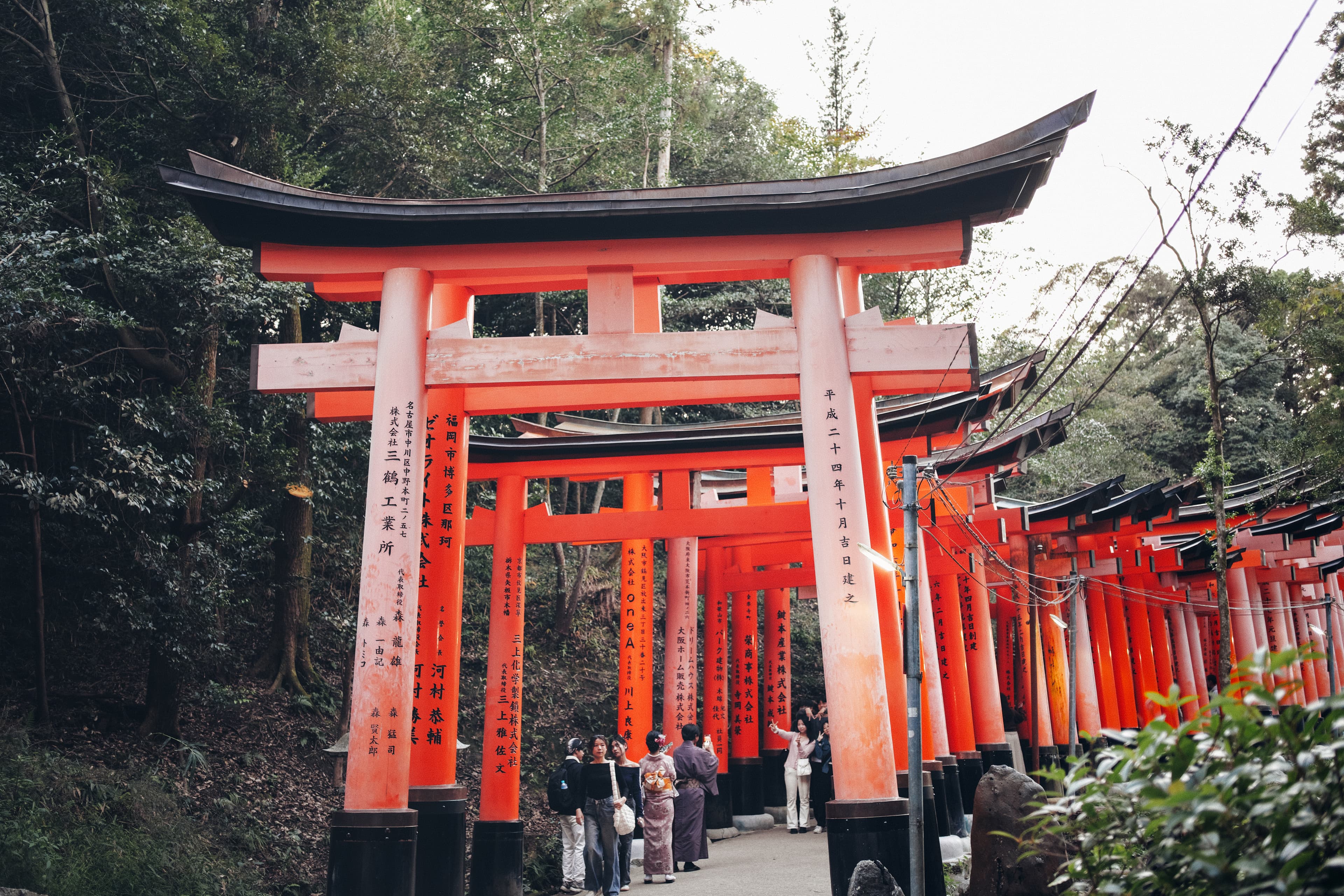 Fushimi Inari Taisha Sembon Torii