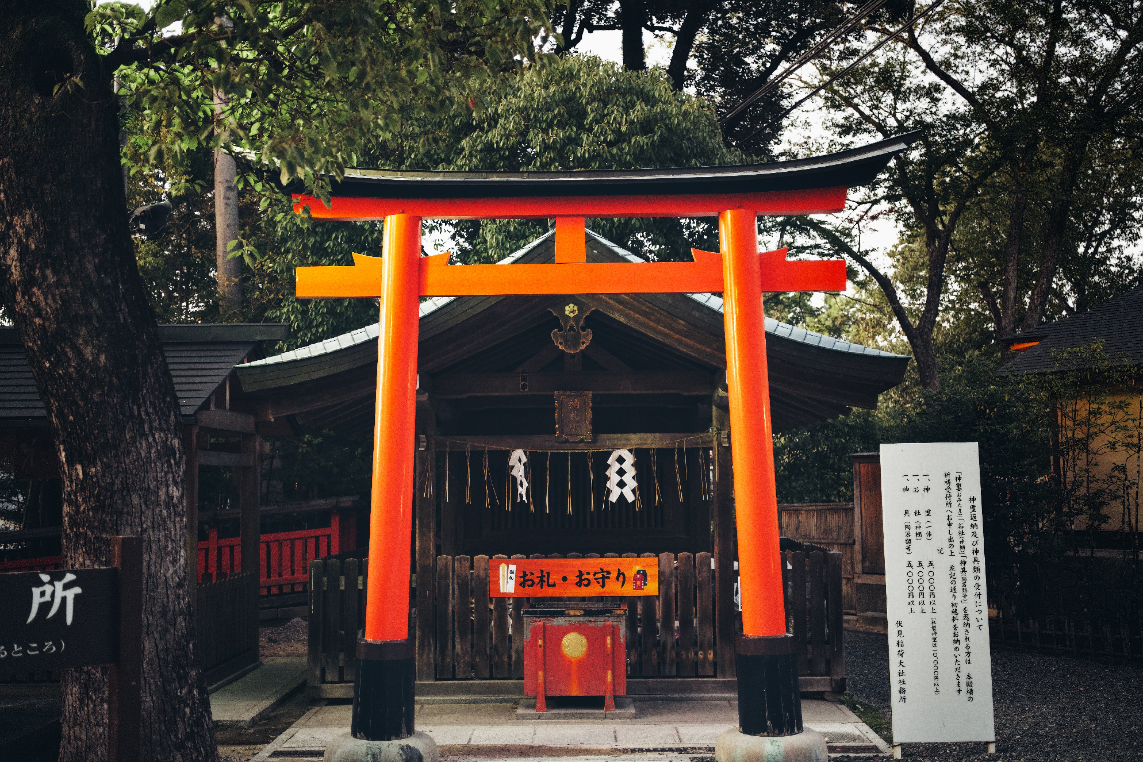 Torii