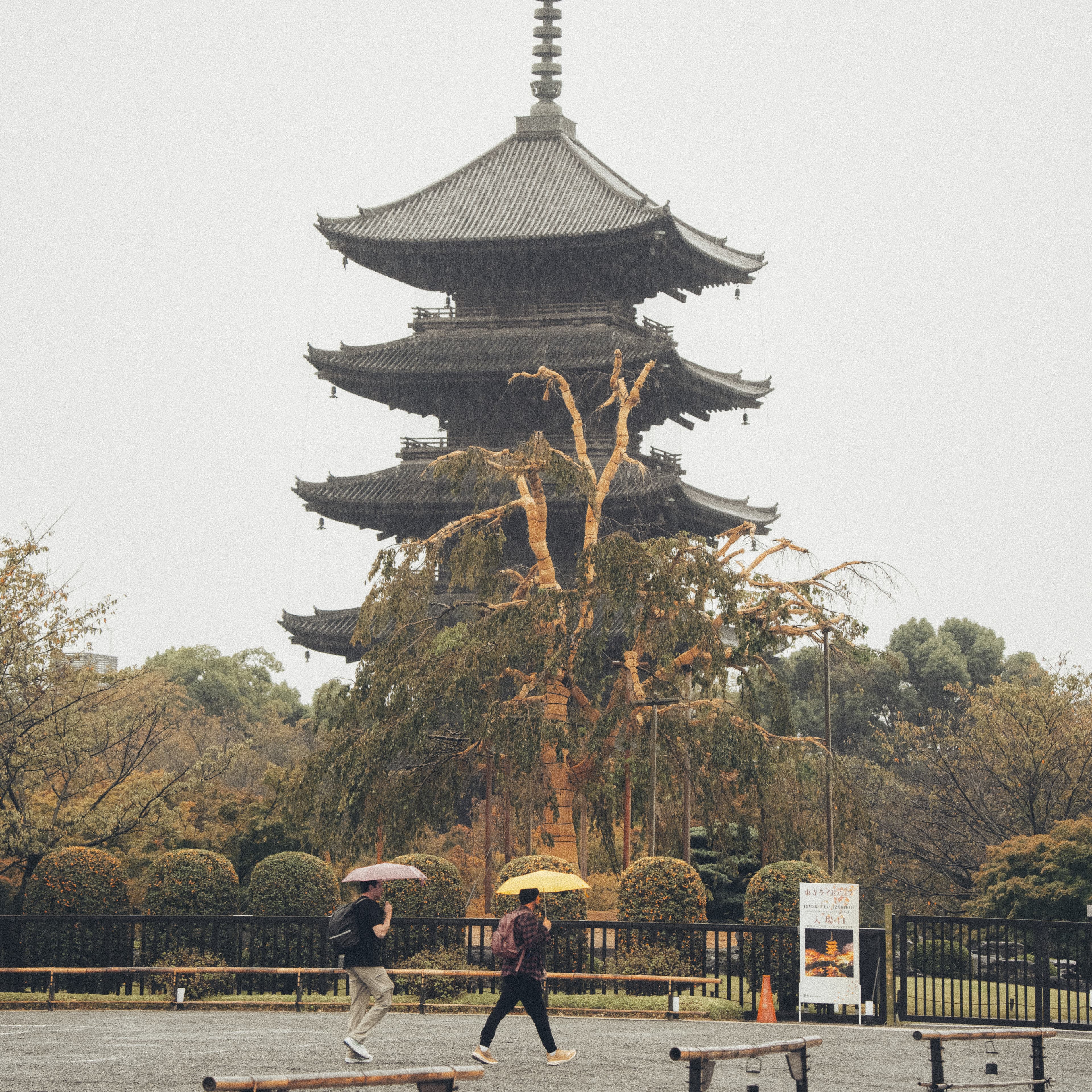 Tōji Temple