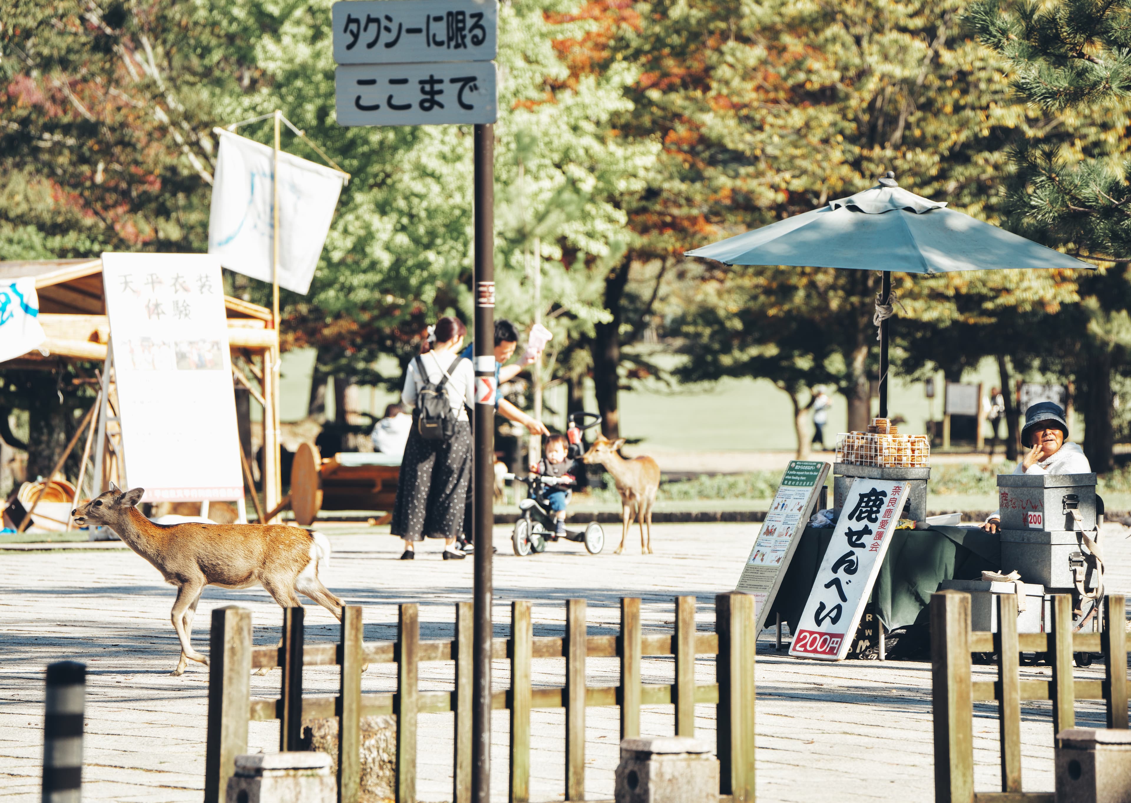 Crackers sold for deer feeding