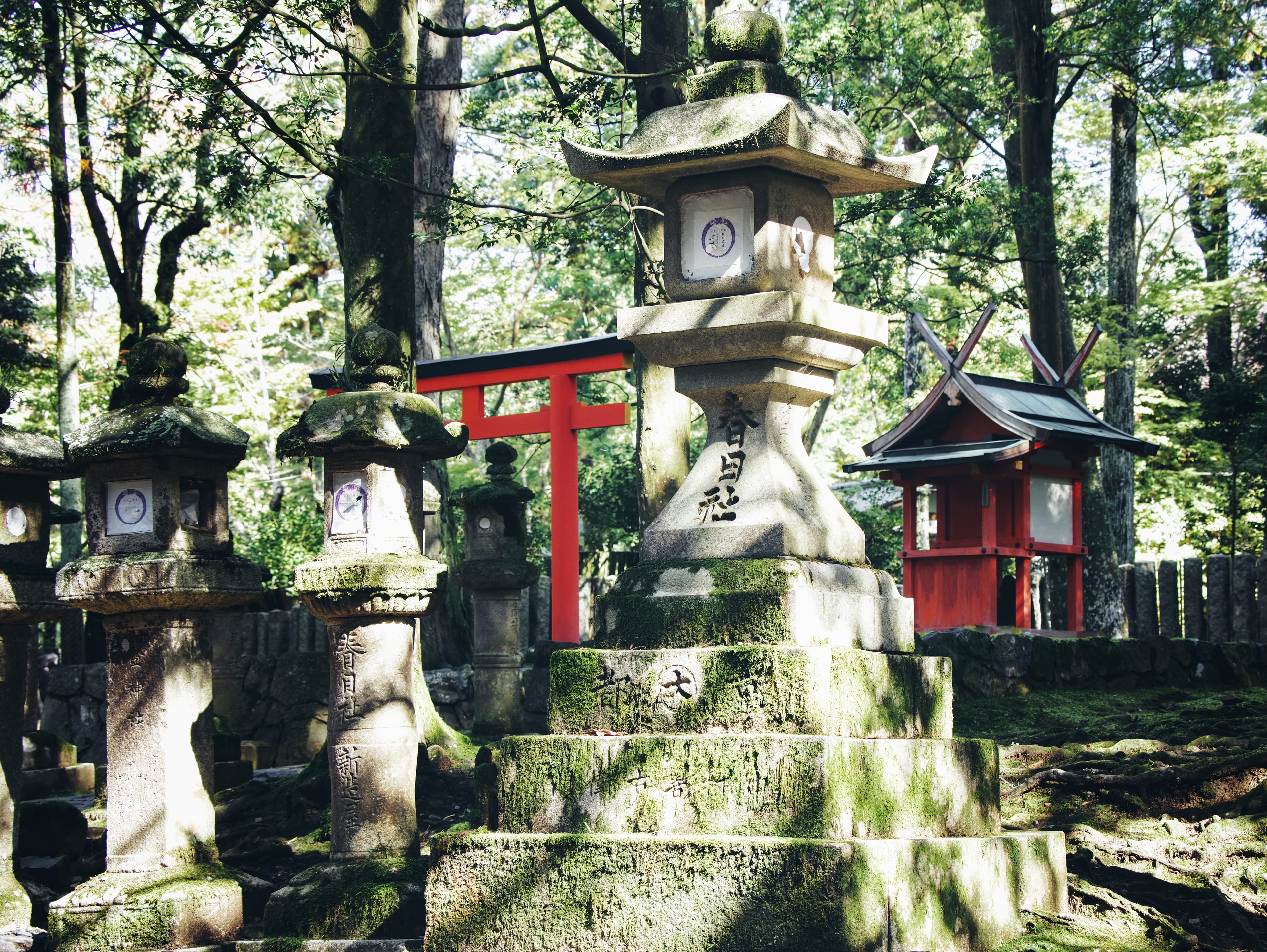 Kasuga Taisha