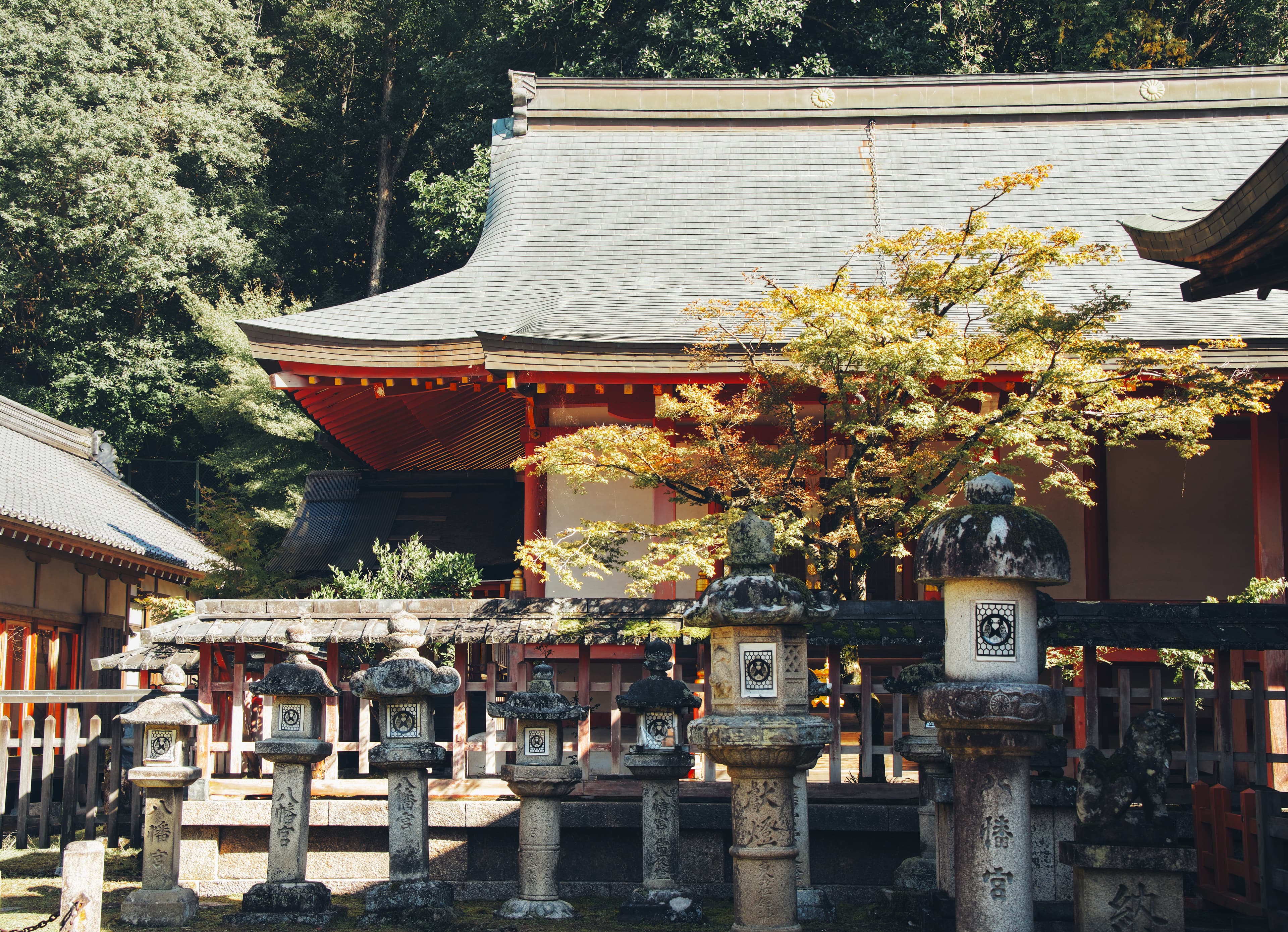 Tamukeyama Hachimangu